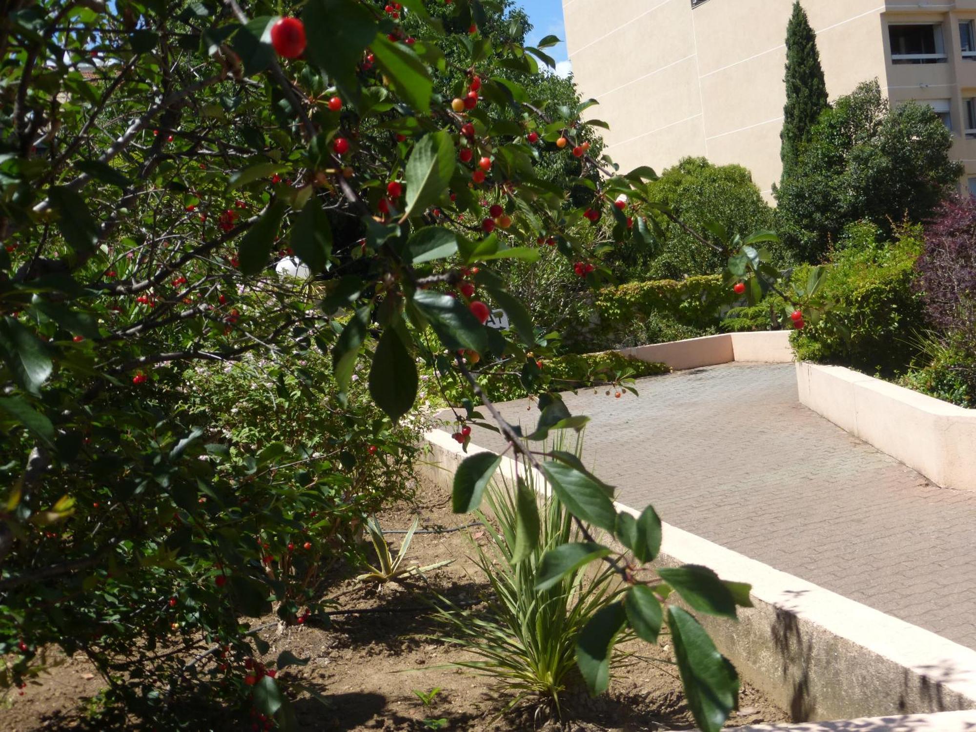 Grand Avec Terrasse Apartamento Montpellier